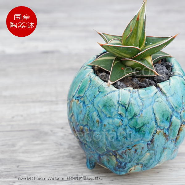 楽天市場】陶器鉢 植木鉢 ミニポット 底穴あり 丸型 フォレスト