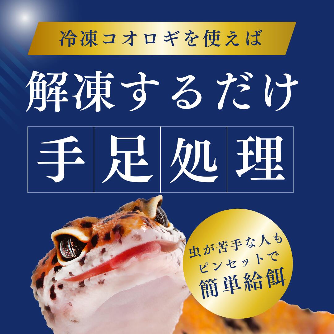 楽天市場】冷凍コオロギ ML 100g 300g 500g 1kg 送料無料 2cm程度