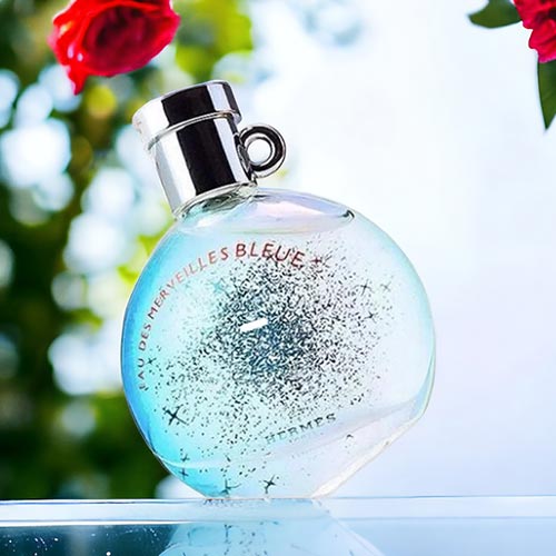 楽天市場】【1日はワンダフルデー！P最大10倍！】エルメス HERMES