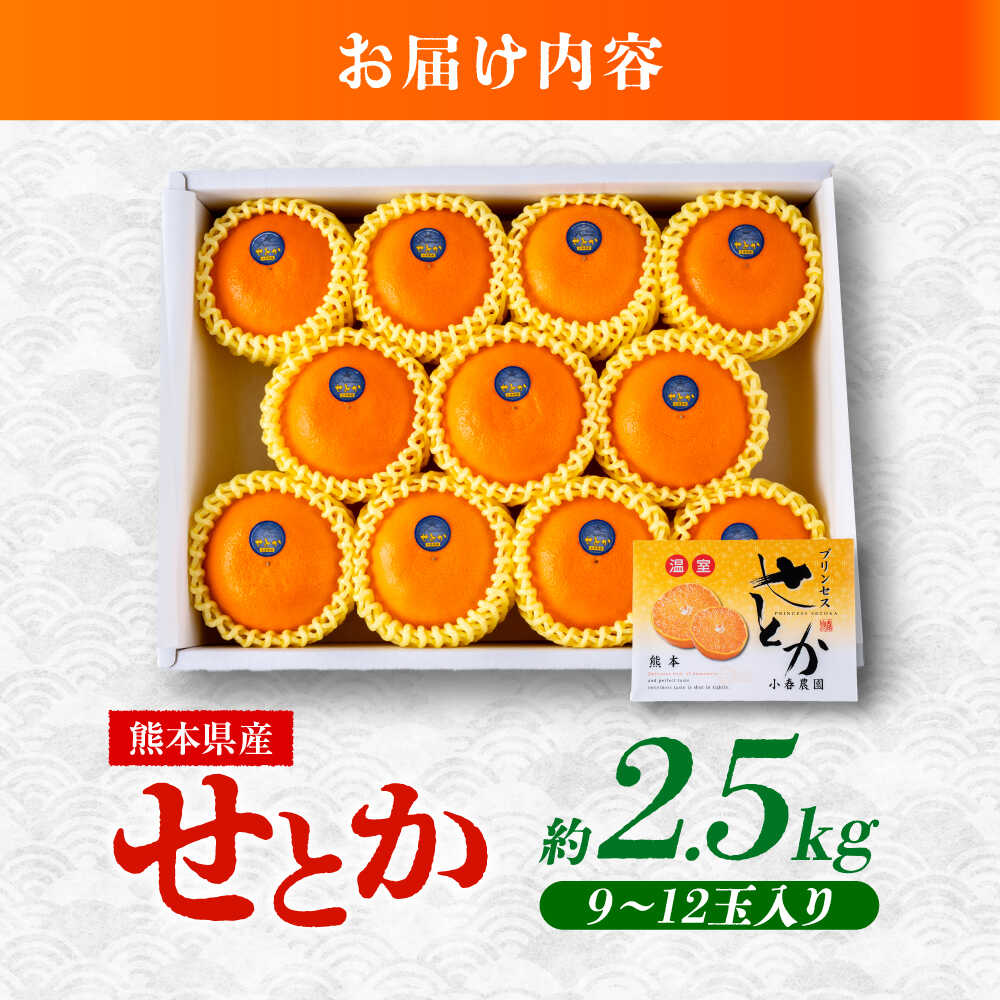 楽天市場】【ふるさと納税】【2026年2月下旬から発送】 みかん ミカン