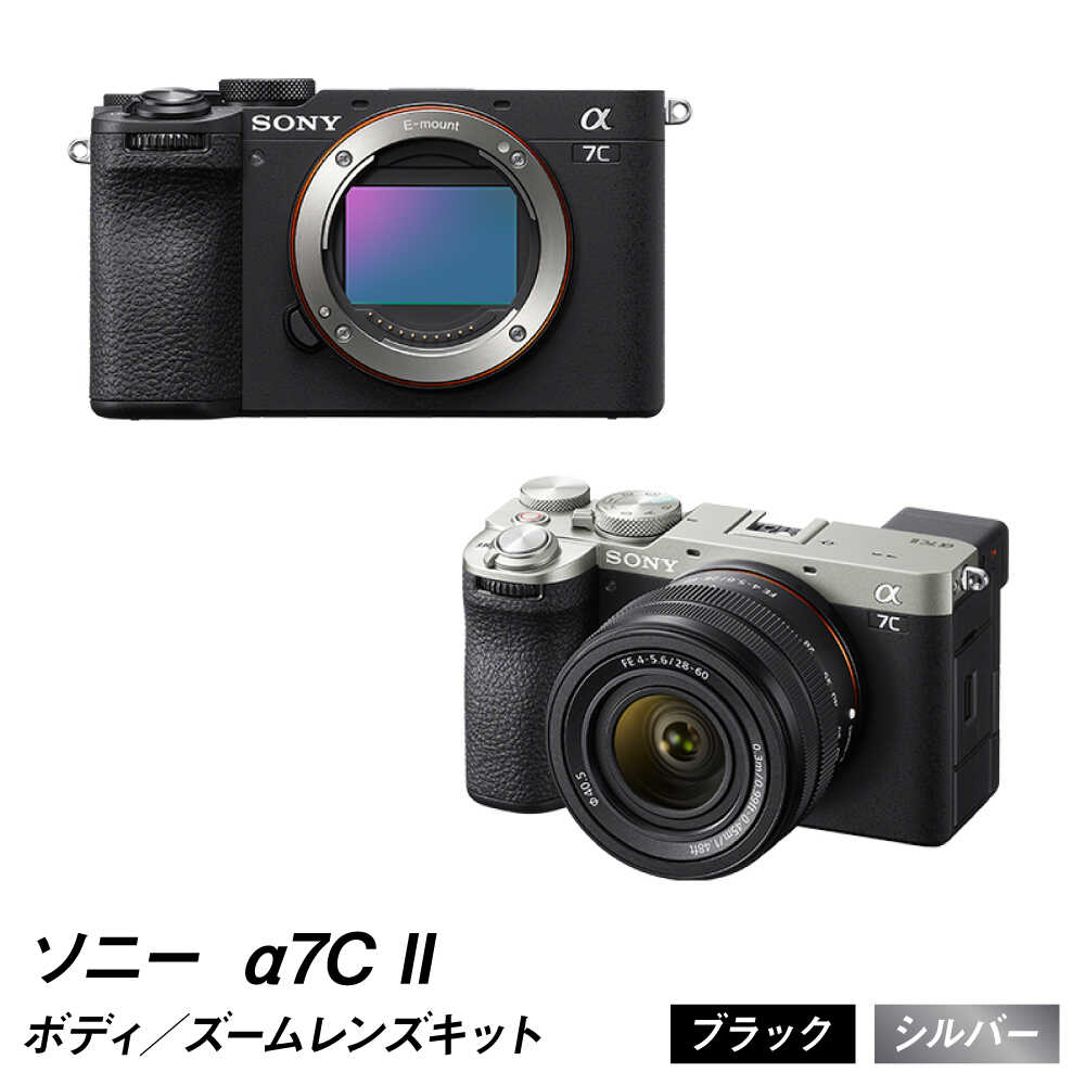 楽天市場】【ふるさと納税】ソニー デジタル一眼カメラ α7C II ILCE