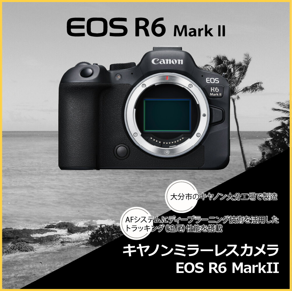 楽天市場】【ふるさと納税】キヤノン ミラーレスカメラ EOS R6 Mark II