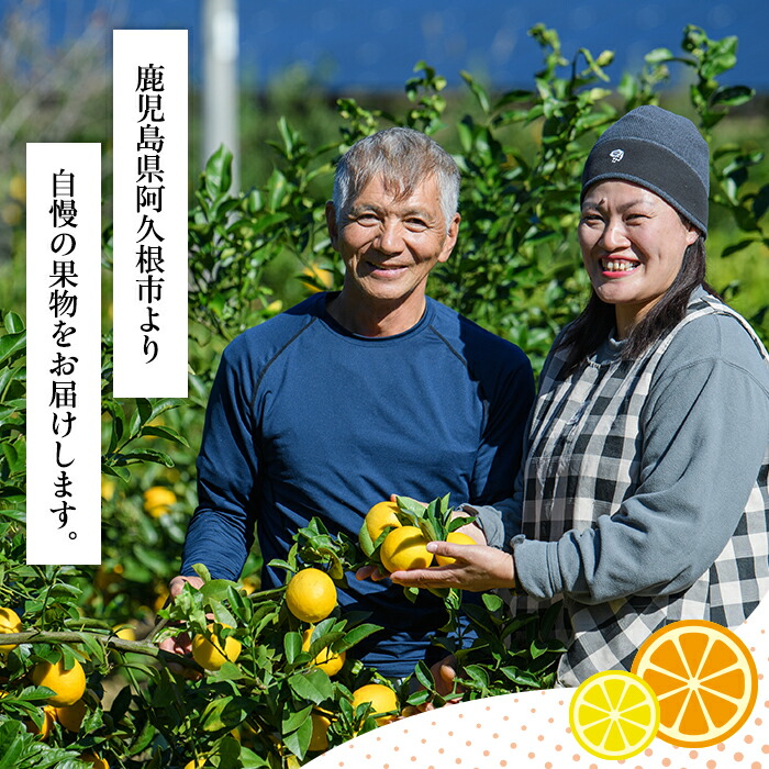 楽天市場】【ふるさと納税】数量限定！露地マイヤーイエローレモン(5kg