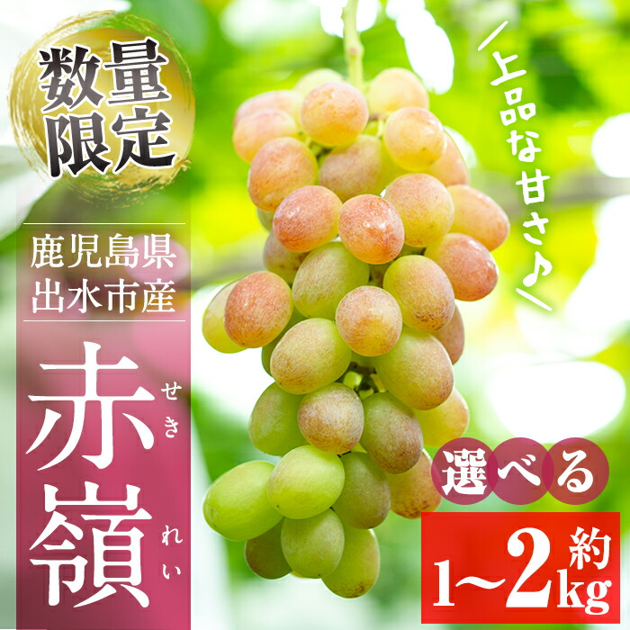 楽天市場】【ふるさと納税】【年内発送】≪数量・期間限定≫〈容量が