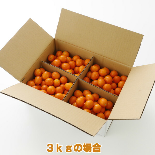 楽天市場】最高糖度18度 減農薬 宮崎産 完熟 きんかん 金柑 3kg L