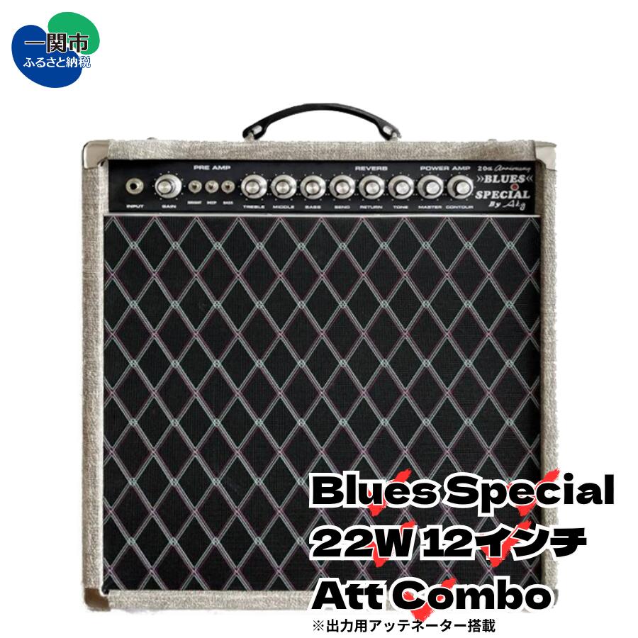 楽天市場】【ふるさと納税】AKG SOUND DESIGN ギターアンプ チューブ