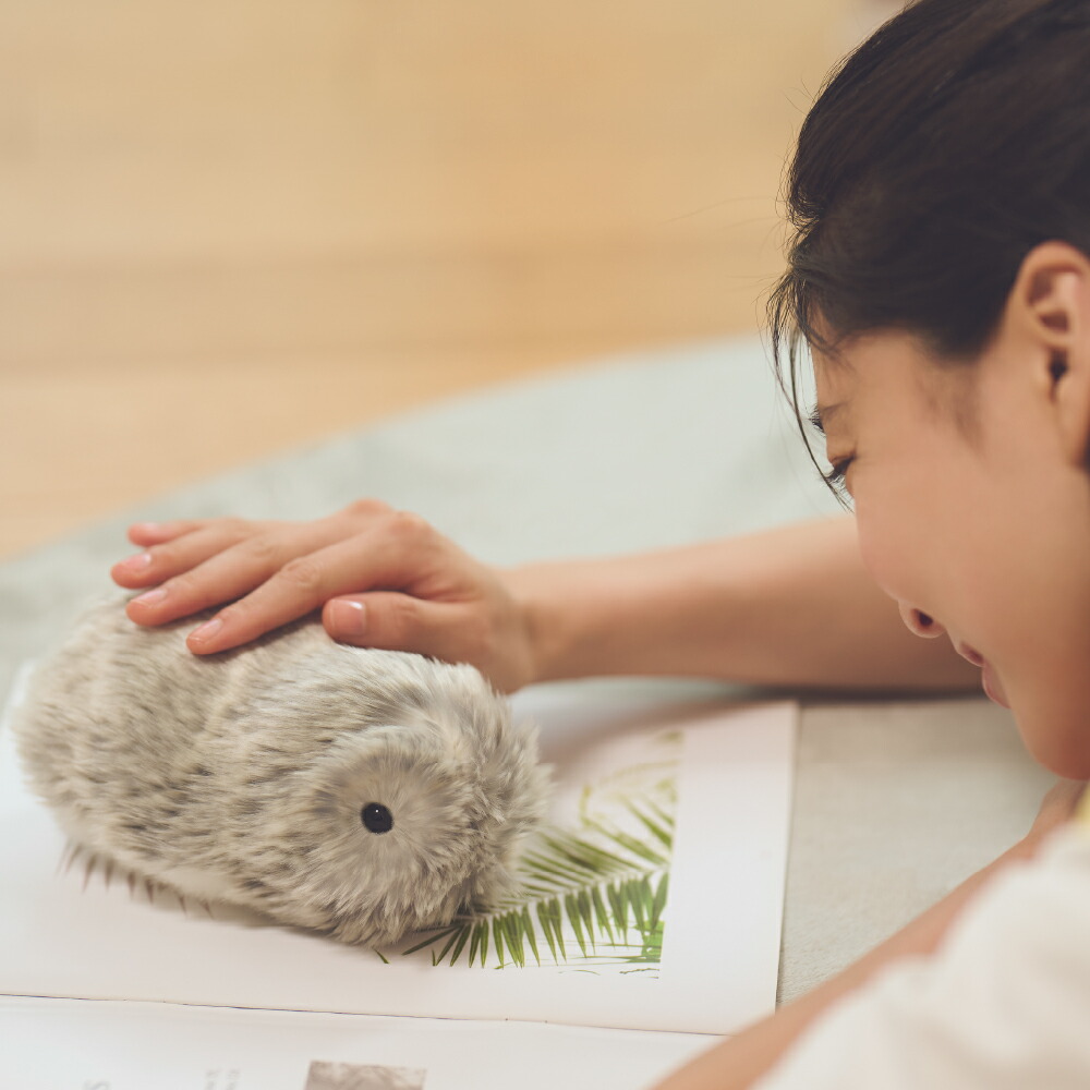 楽天市場】【ふるさと納税】 カシオ 「 Moflin 」 AIペットロボット PE