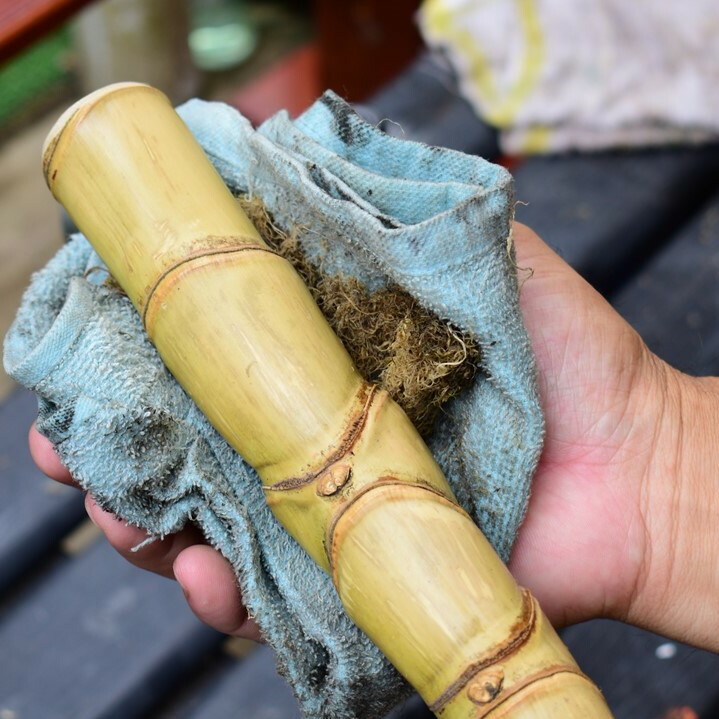 楽天市場】【ふるさと納税】DC-1 布袋竹ステッキ 1本 日常 散歩