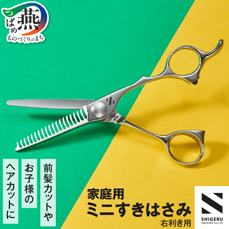 楽天市場】【ふるさと納税】 髪はさみ ミニ梳き鋏【 すきバサミ 右利き