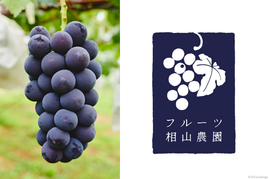 楽天市場】【ふるさと納税】 【 無添加 】完熟 干し葡萄 50g×3袋