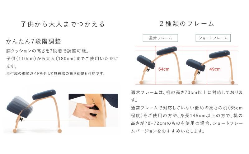 楽天市場】【ふるさと納税】椅子 バランスイージー カバー付き 選べる