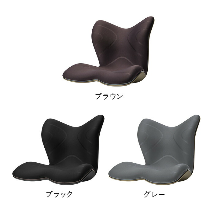 楽天市場】【ふるさと納税】Style PREMIUM | スタイルプレミアム 骨盤