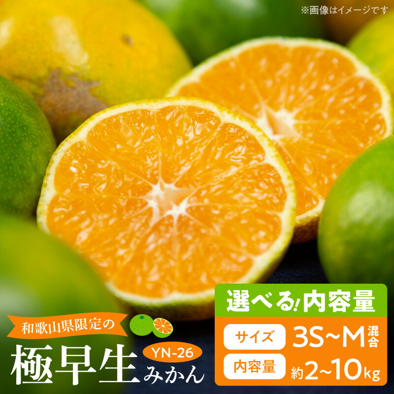 楽天市場】【ふるさと納税】【2026年先行予約】和歌山県限定の極早生