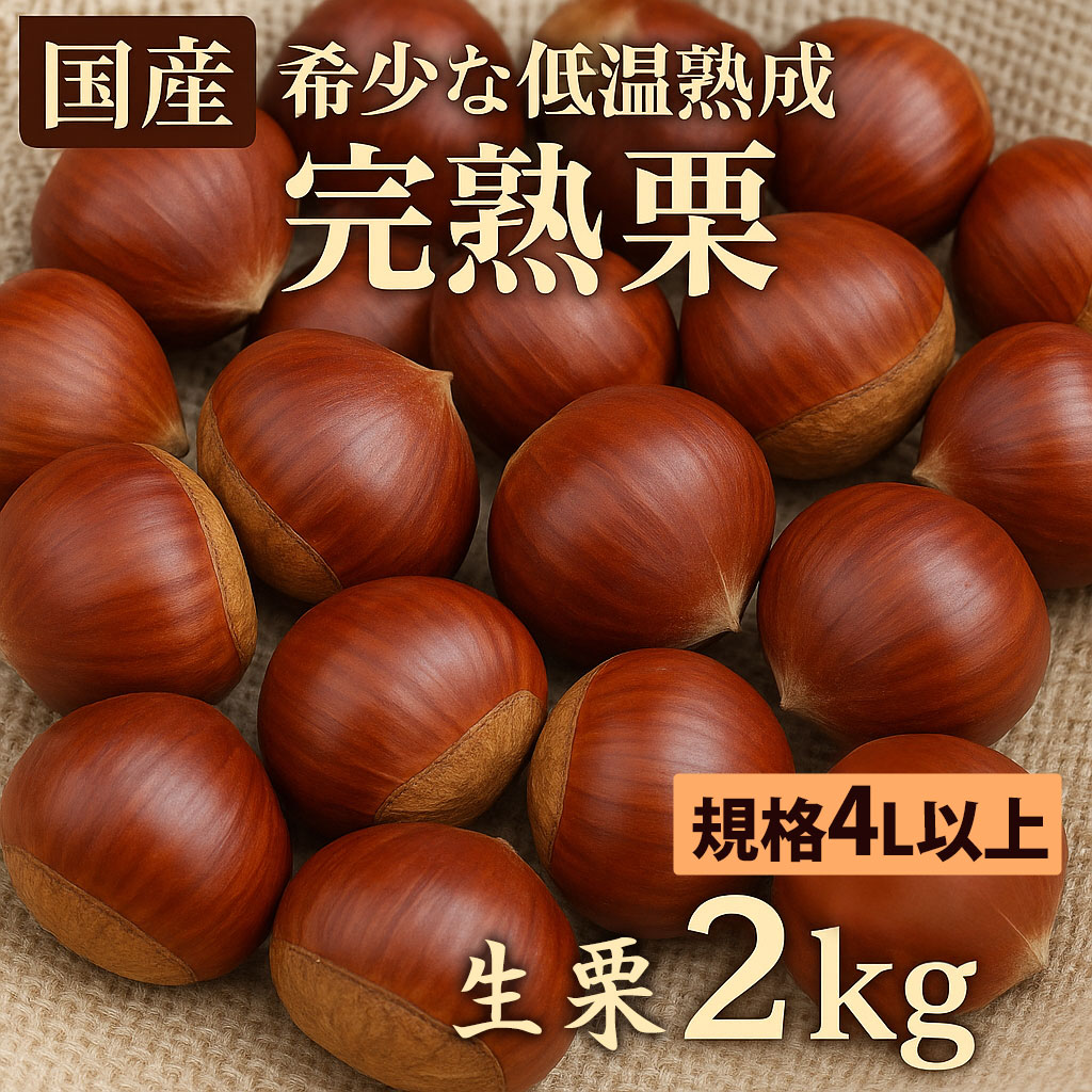 楽天市場】栗 4lの通販