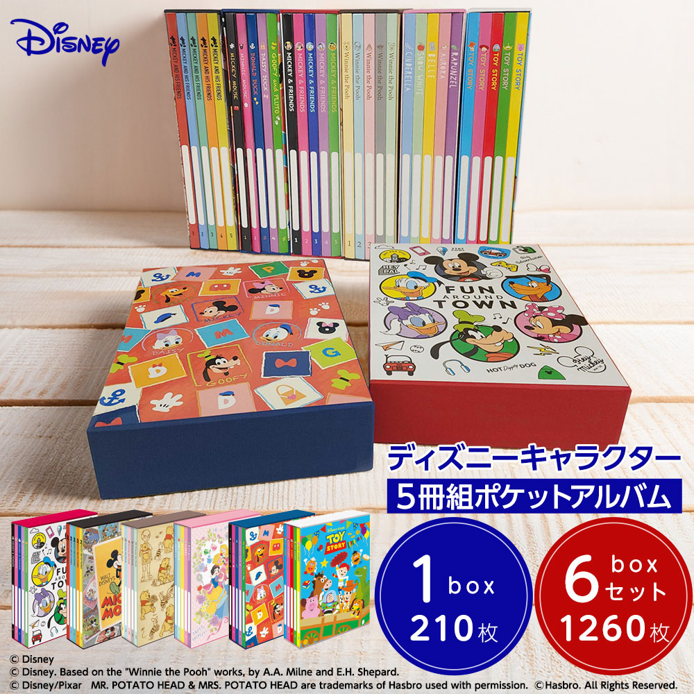 楽天市場】【単品/6冊組】アルバム 大容量 ナカバヤシ 5冊BOXポケット