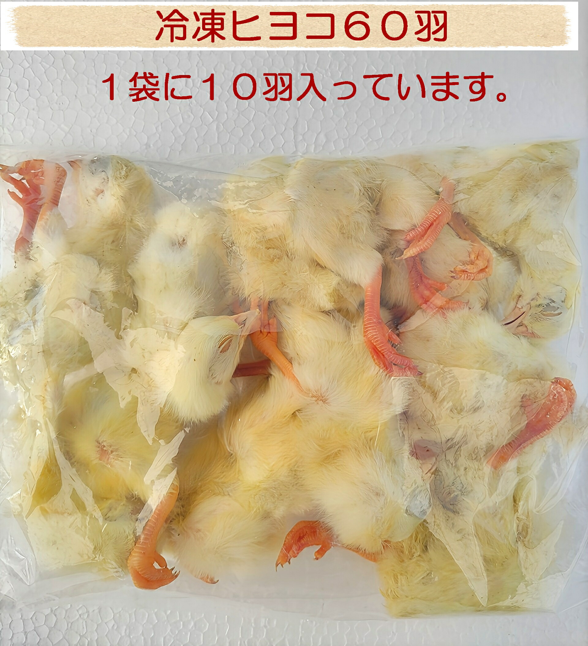 楽天市場】冷凍ヒヨコ(10羽入り) ペットフード 猛禽類エサ フクロウ 鷹