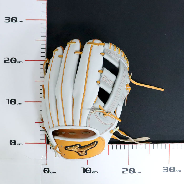 楽天市場】野球 ミズノ 軟式グローブ ミズノプロ オーダーグラブ 内野