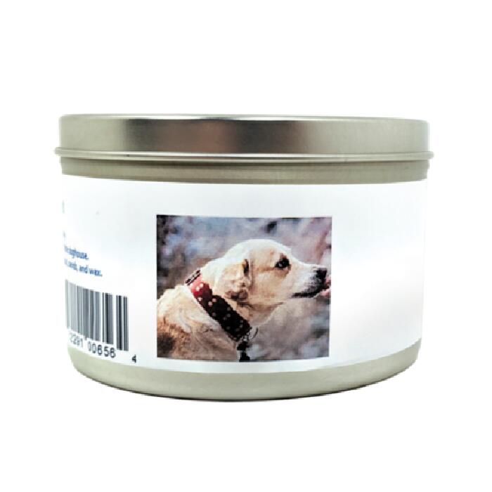 楽天市場】MedBed テスラ メドベッド ペット用 1個 メゾベット バイオ