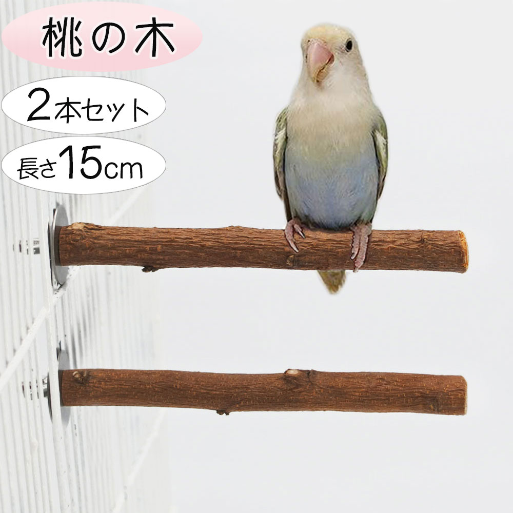 楽天市場】インコ セキセイインコ ボタンインコ マメルリハ