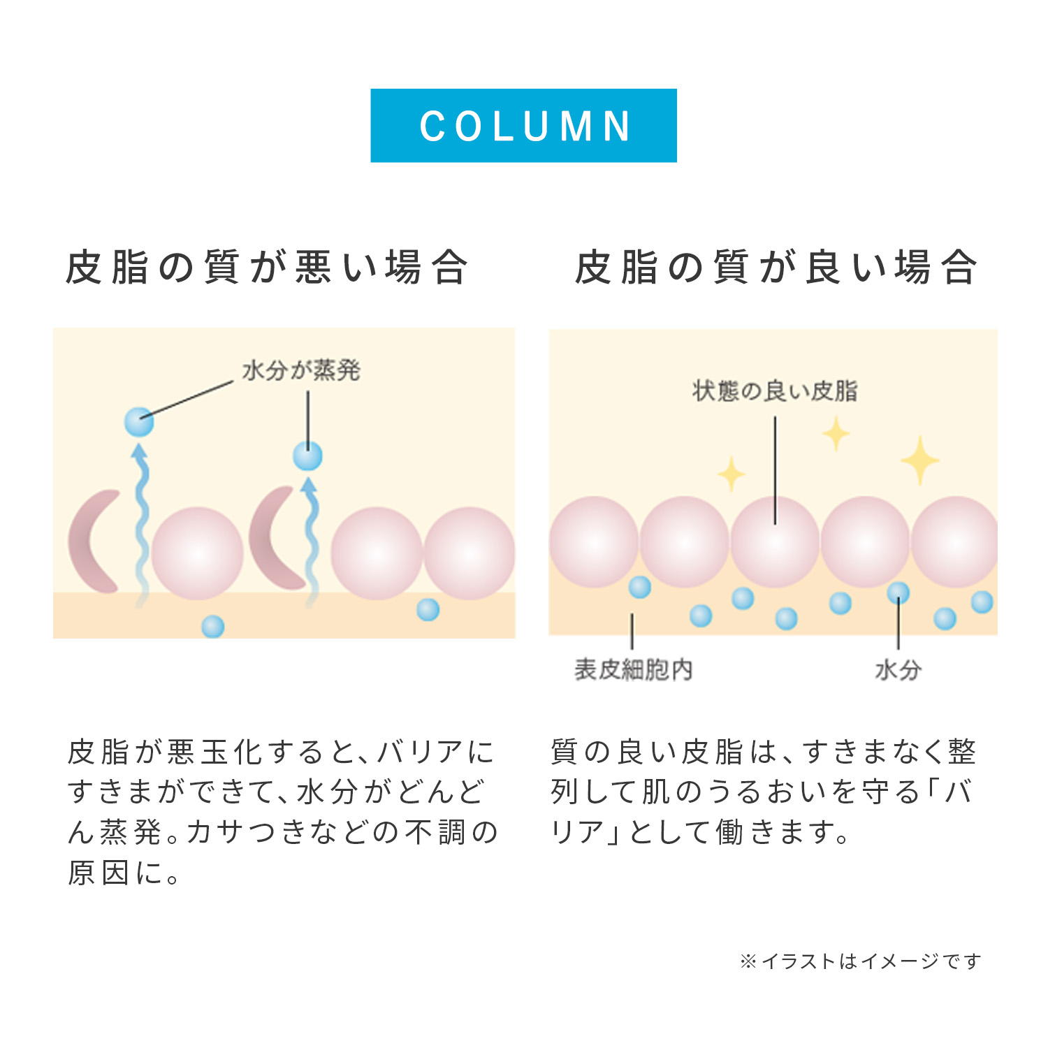 楽天市場】toiroトイロ バランシングドロップ 化粧液 ボトル 120mL＋