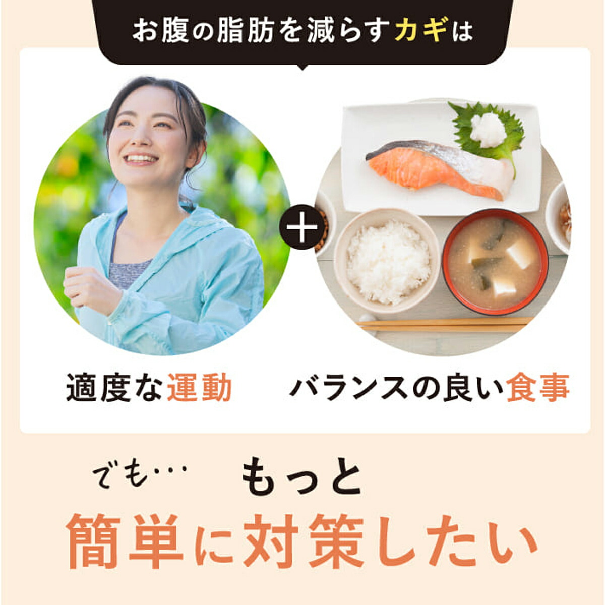 楽天市場】＼ エコバッグ プレゼント 中／ 【お腹の脂肪を減らすのを