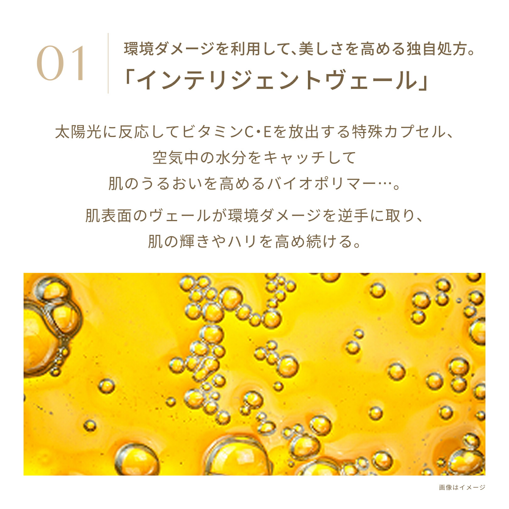 楽天市場】FATUITE公式 ブライテスト マルチプロテクションデイ