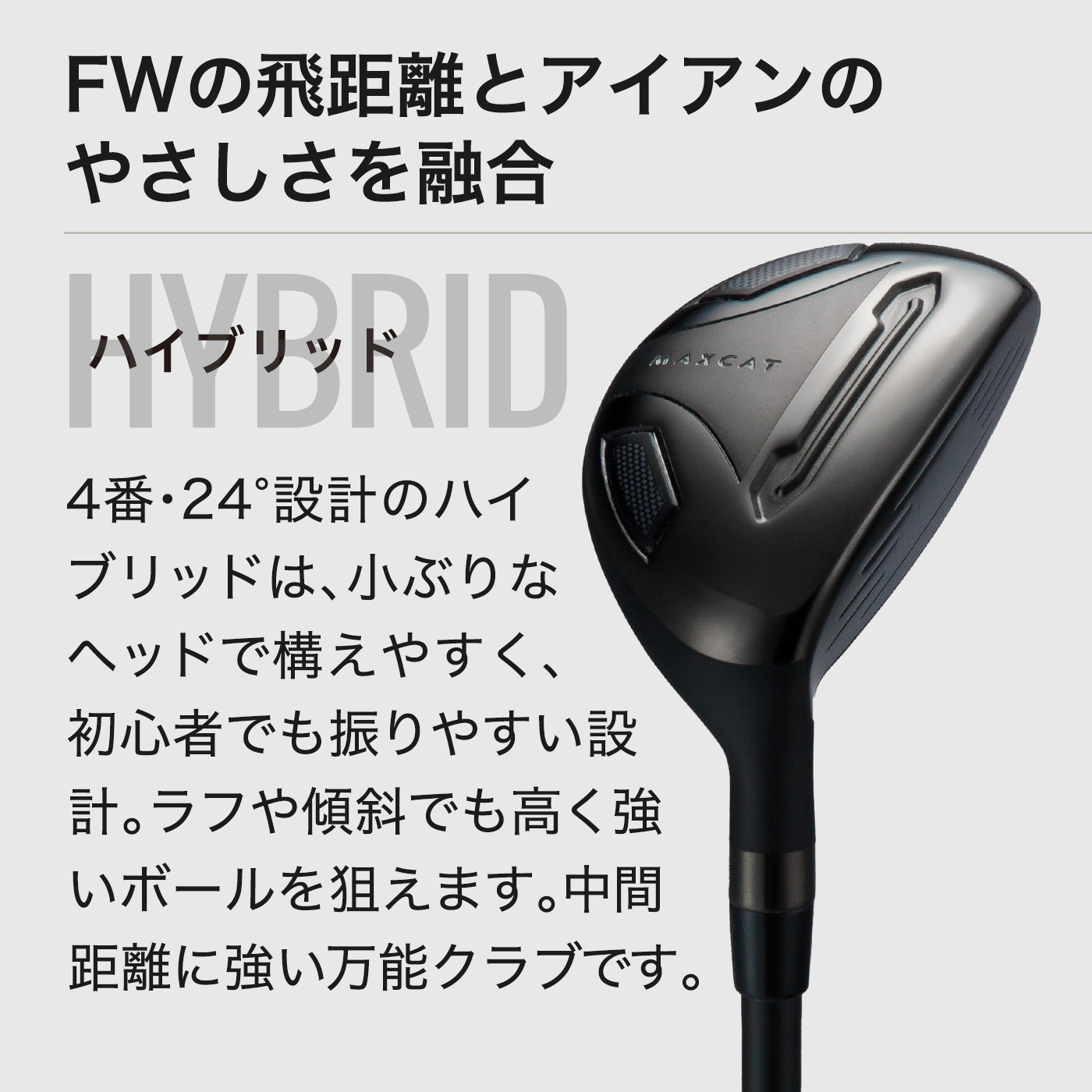 楽天市場】＼半額祭／LINE登録で500円OFF☆贅沢 ゴルフクラブセット