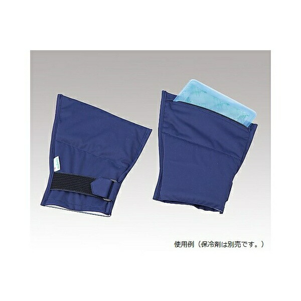 楽天市場】フローズン グローブ 医療 用の通販