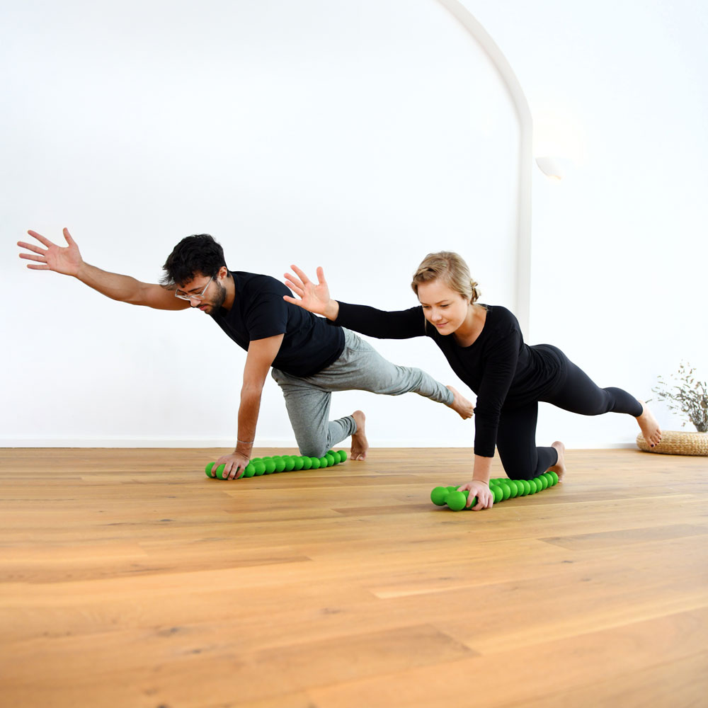 楽天市場】スパインフィッター SPINEFITTER by SISSEL [Lab Selection