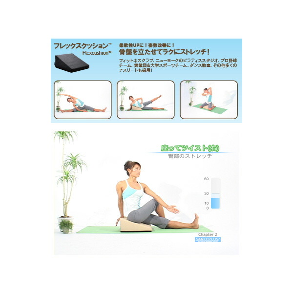 楽天市場】フレックスクッション ※返品交換不可※ [サンテプラス