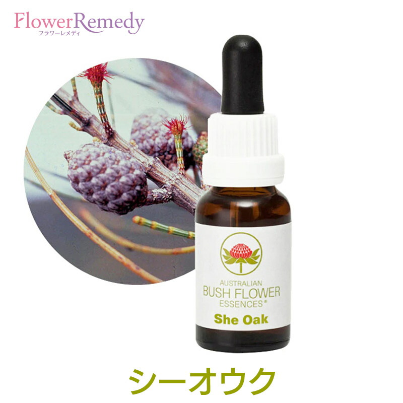 予約品】ガイアエッセンス オーストラリアンブッシュ