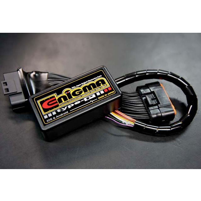 楽天市場】エニグマ シグナスの通販