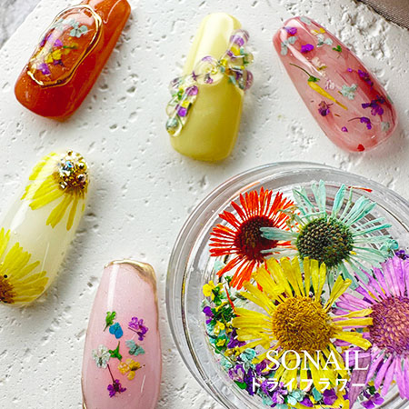 楽天市場】SONAIL ソネイル ドライフラワー ポップカラー スプリング