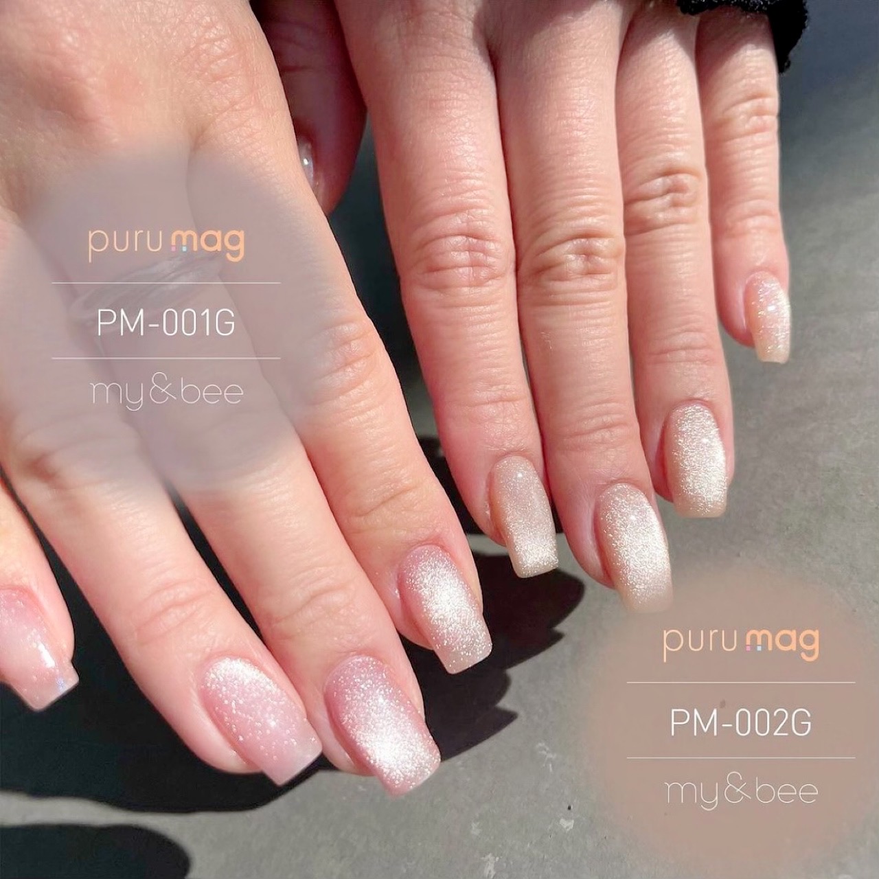 楽天市場】my&bee マイビー ぷるマグセットA 8ml 5色セット PM-001G