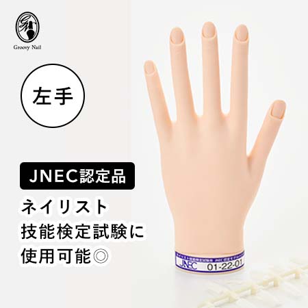 楽天市場】JNEC認定 STモデルハンド 左手 チップ差込式(ネイルチップ