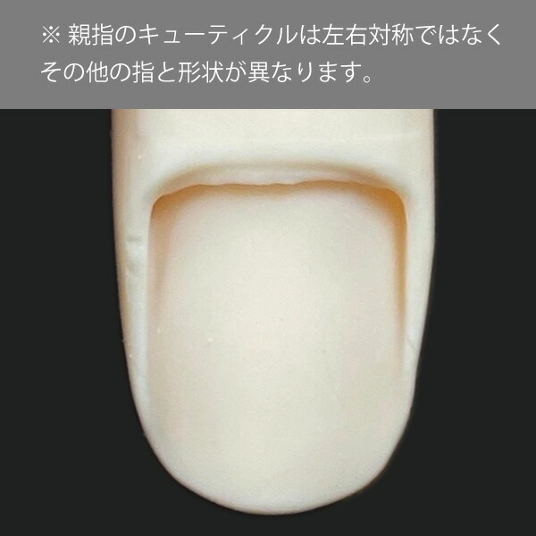 楽天市場】◇JNEC認定 STモデルハンド 右手 チップ差込式(ネイルチップ