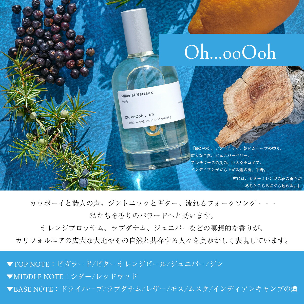 楽天市場】Miller et Bertaux 【オードパルファン香水100ml】 Oh,ooOoH