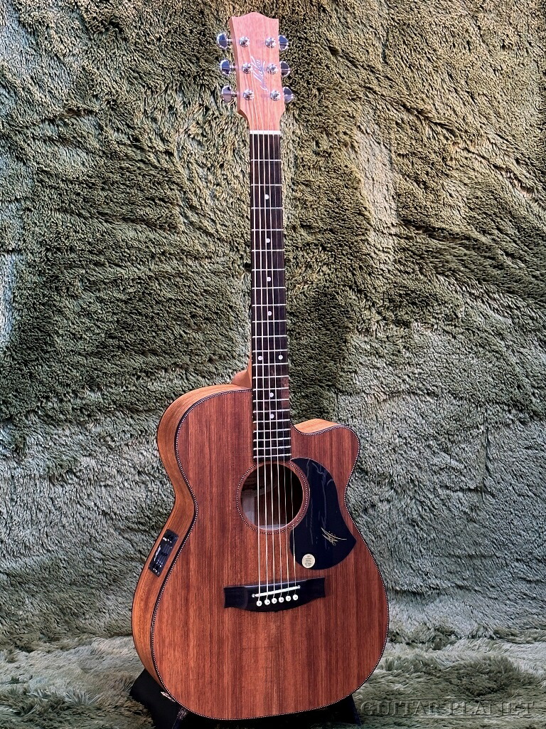 楽天市場】Maton EBW808 C ~All Blackwood Series~ #29280 新品