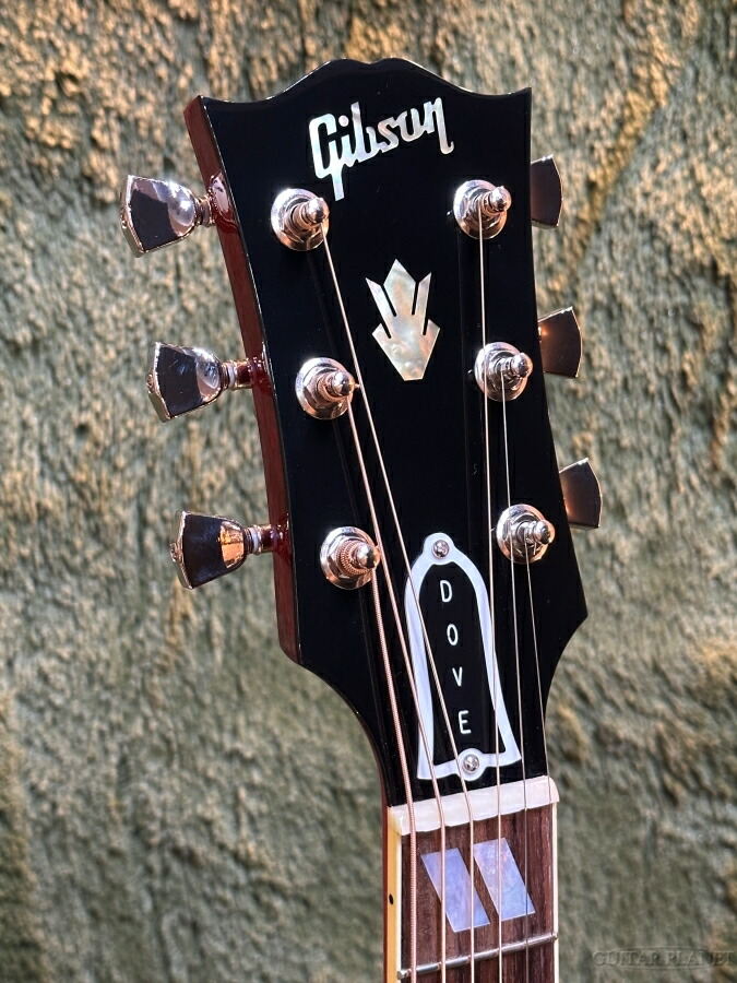 楽天市場】Gibson / Dove Original -Vintage Cherry Sunburst