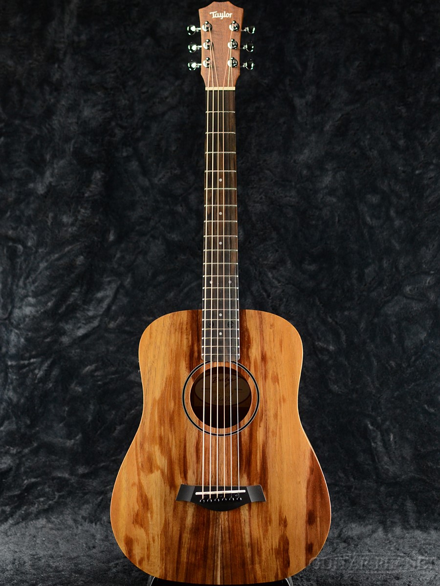 楽天市場】Taylor Baby Taylor E-Koa 新品[ベイビーテイラー][コア