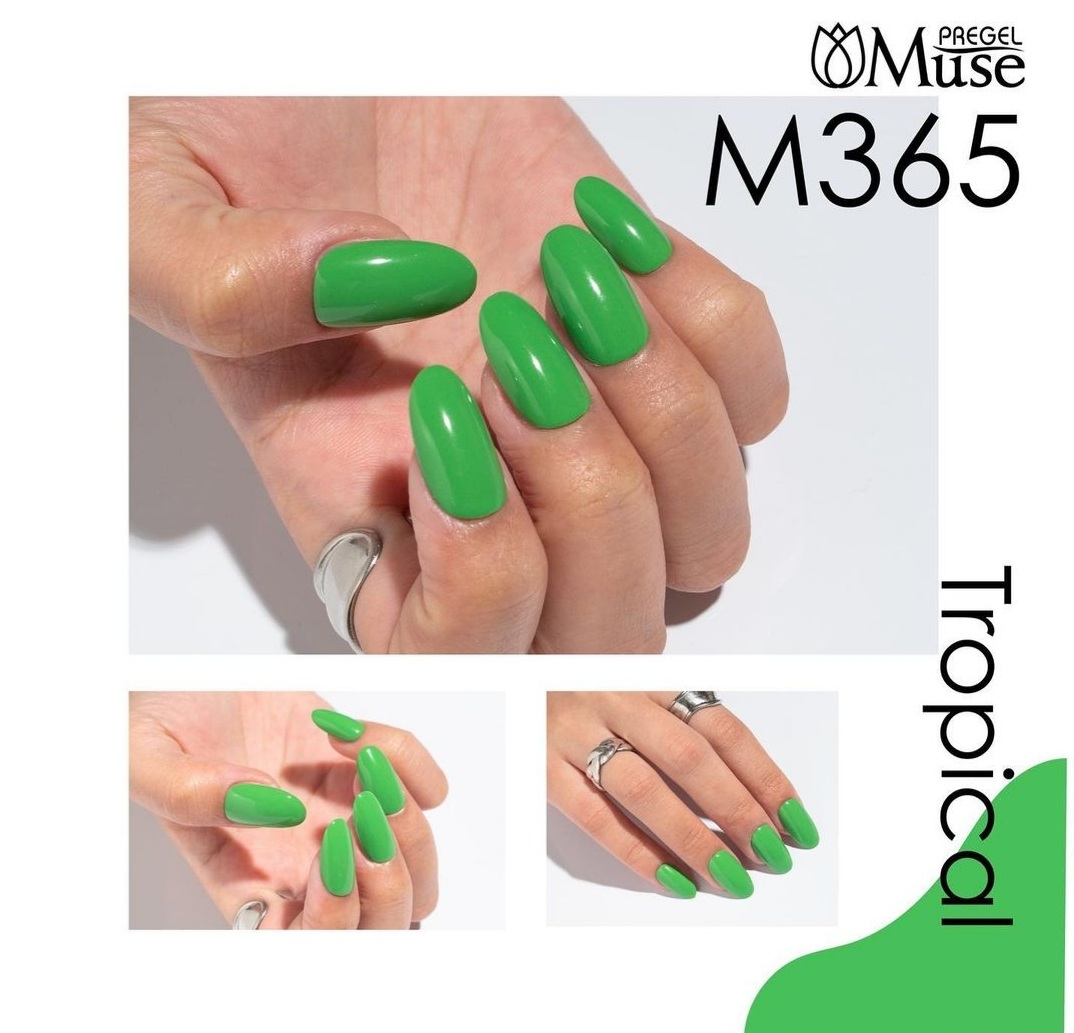 楽天市場】プリジェル ミューズ 第27弾 トロピカルシリーズ グリーン