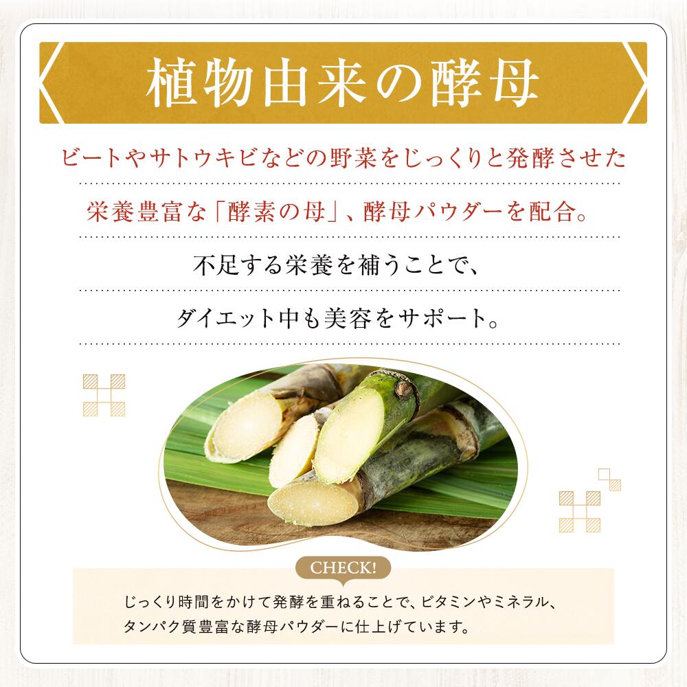 楽天市場】【公式】プレミアム 酵素茶漬け (1袋／2袋セット