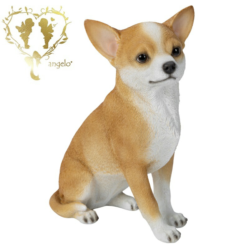 楽天市場】犬置物チワワ 【お座りチワワ】送料無料 ドッグ置物 サイズ
