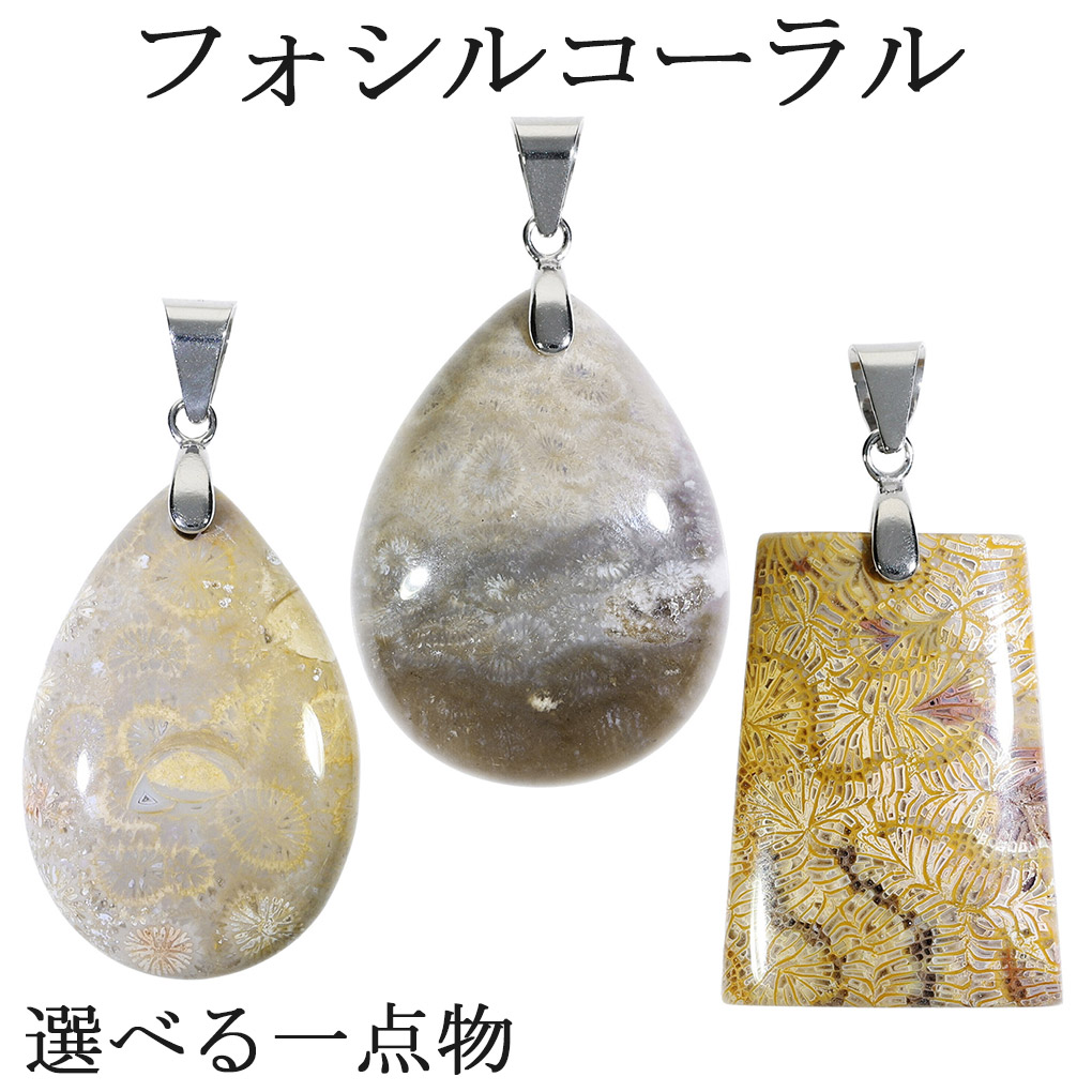 楽天市場】フォシルコーラル シルバー ペンダントトップ 数量限定