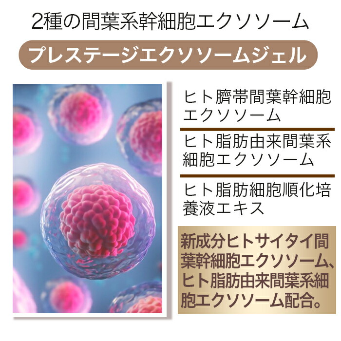 楽天市場】【リニューアル】DDS MATRIX マトリックス プレステージ