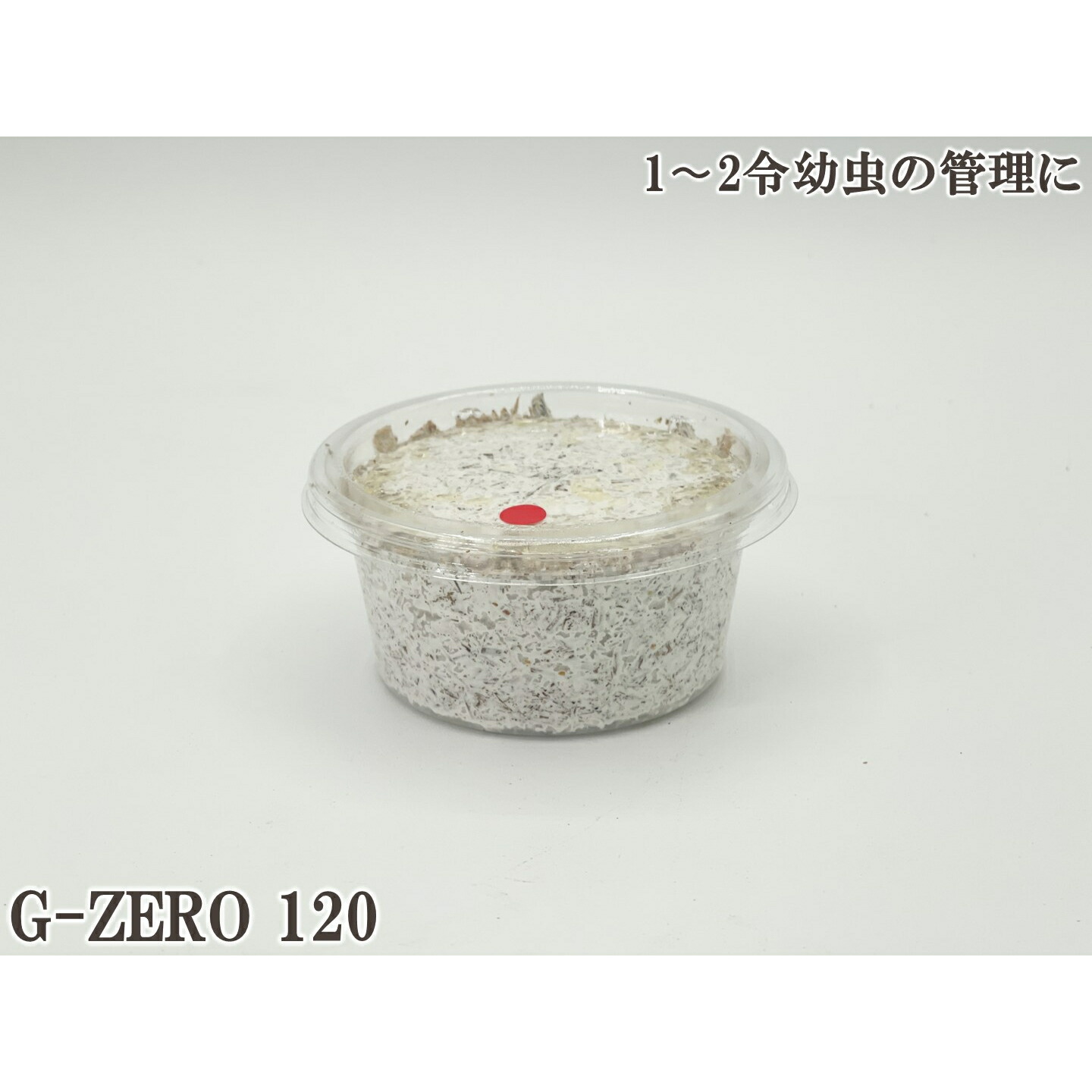 楽天市場】ギネス2冠 スマトラオオヒラタ109.3mm【DDA】G-ZERO 菌糸