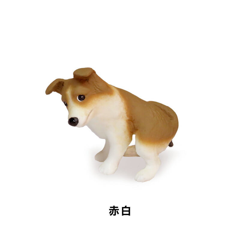 楽天市場】【DENSCRAFT】 Dog@CUBE 「ウ○チング」 ボーダーコリー 犬