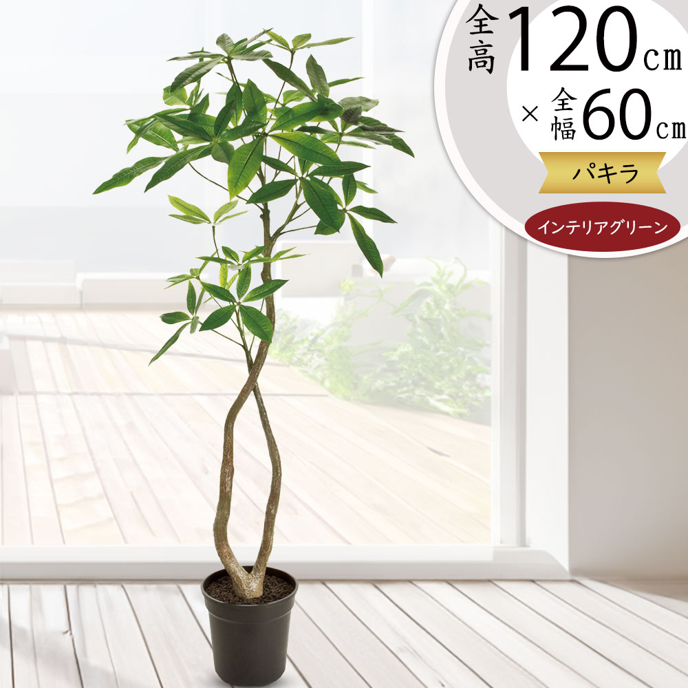 楽天市場】パキラ フェイクグリーン 人気 おしゃれ インテリアグリーン
