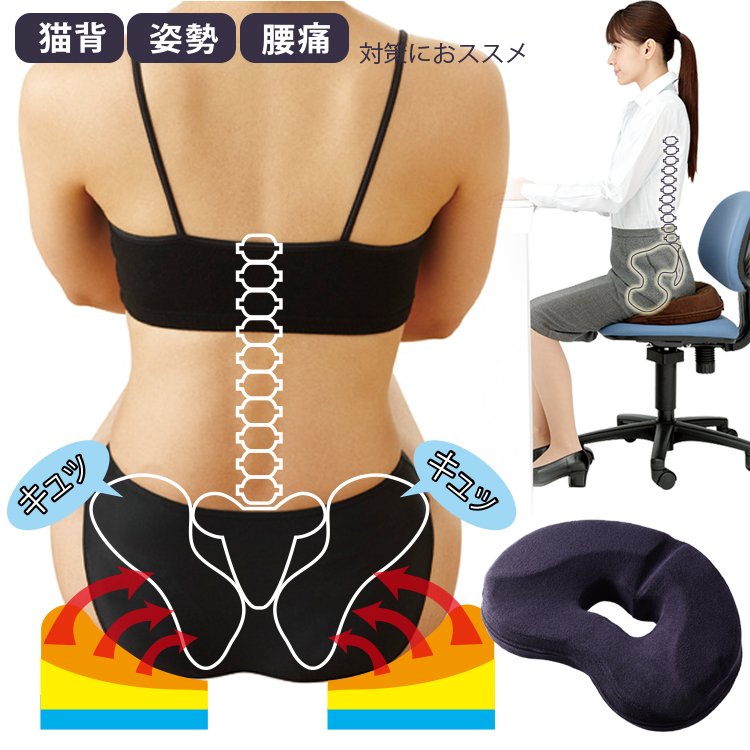 楽天市場】骨盤サポート クッション [ 座るだけで骨盤キュッと