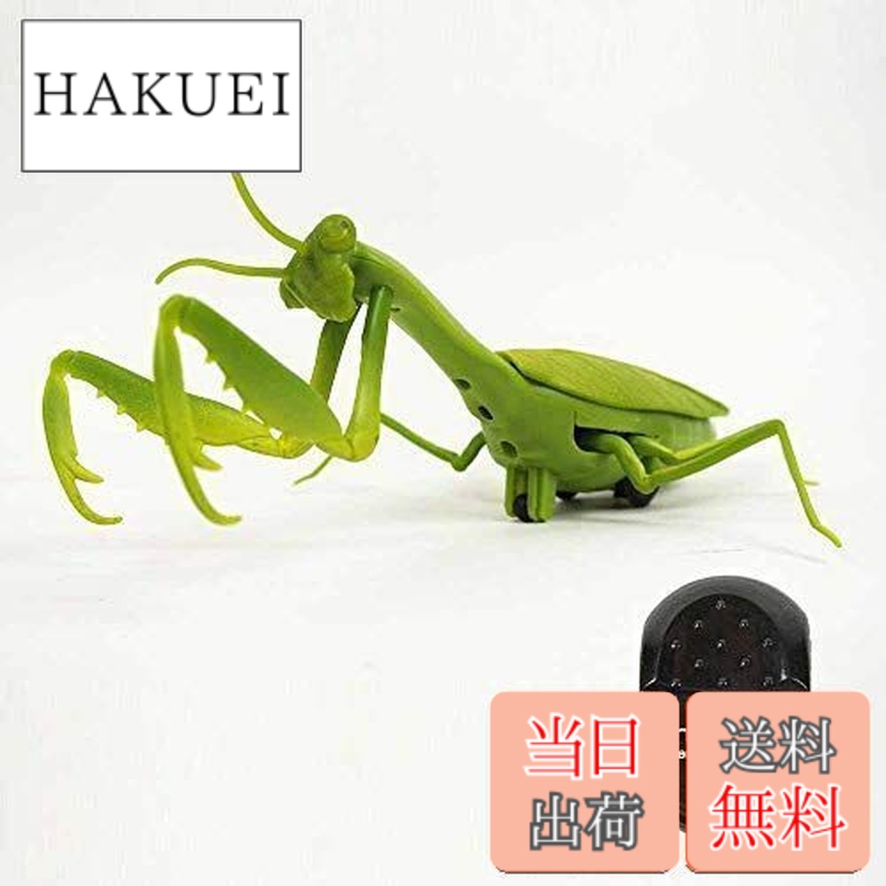 楽天市場】【送料無料】カマキリ ラジコン Mantis Radio Controlled